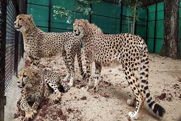 70 ஆண்டுகால.. 