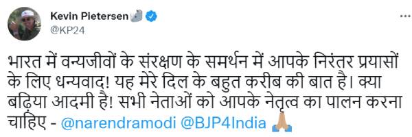 பீட்டர்சன் பாராட்டு 