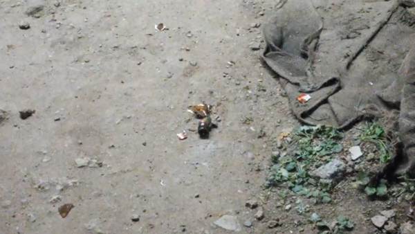 பீர் பாட்டில் பீர் பாட்டில்