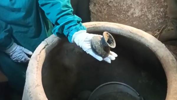 தாழியினுள் நெல் மணிகள் தாழியினுள் நெல் மணிகள்