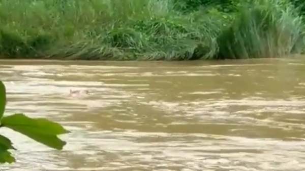 சம்பாவதியில் வெள்ளம்