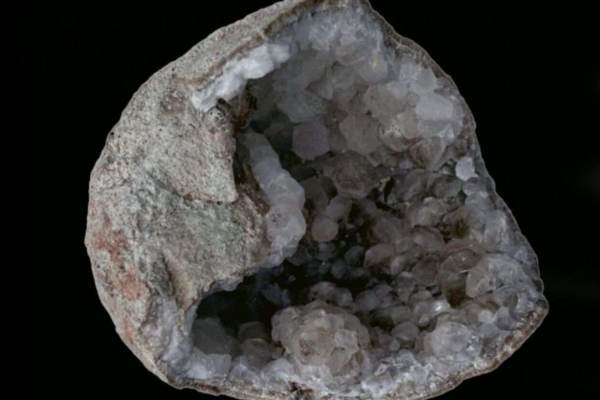 டைனோசர் முட்டைகள் கண்டுபிடிப்பு 