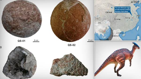 விஞ்ஞானிகள் ஆய்வு 