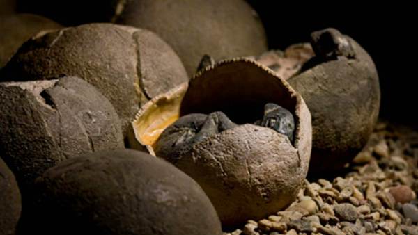 எப்படி கண்டுபிடிக்கப்பட்டது 