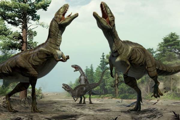 தாவர உண்ணி டைனோசரா 