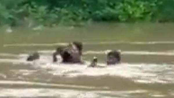 கல்வியின் முக்கியத்துவம்