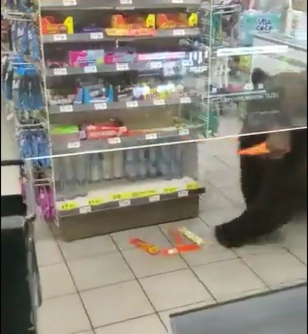 ஆம்னிவோர்ஸ் 