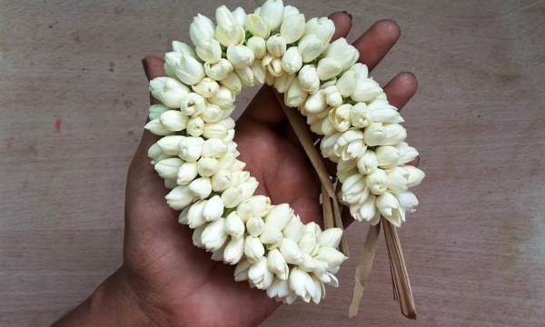  KG 500 மல்லி