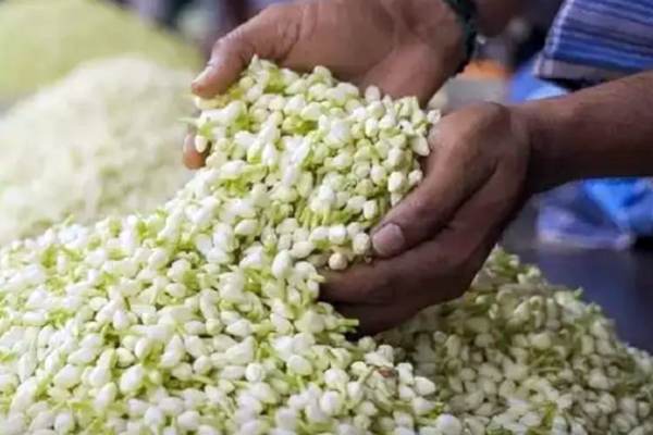  சிங்கப்பூர் மார்க்கெட்