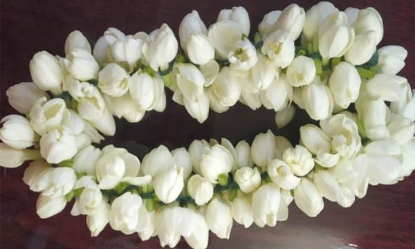  மதுரை மல்லி