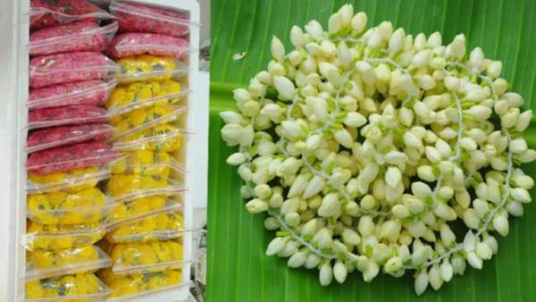  பெஸ்ட் + குவாலிட்டி