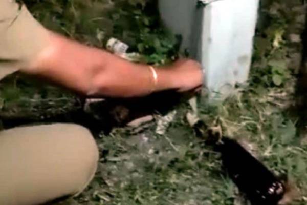 டீசல் குண்டு 