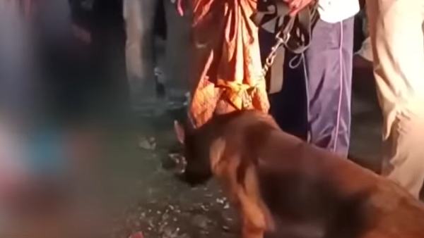 கைது நடவடிக்கை கைது நடவடிக்கை