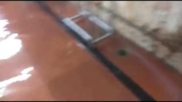 சட்டமன்ற கேன்டீன் 