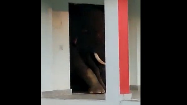 அட்டகாசம் 