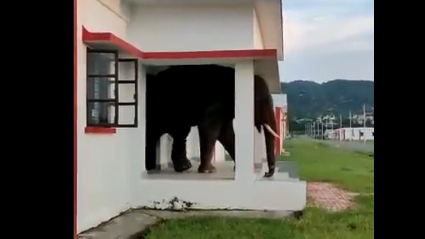 ஞாபக சக்தி 