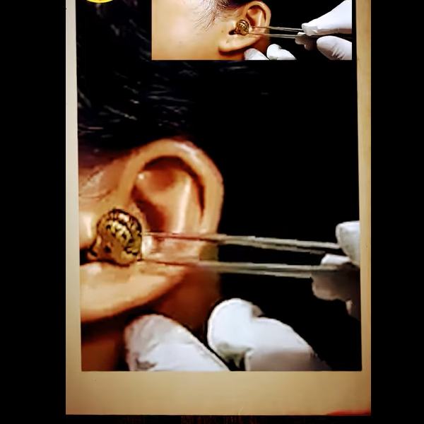  8 அங்குலம் நீளம்