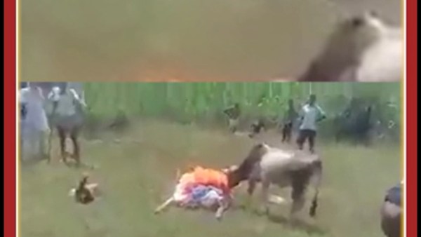  ஜெயா பாவம்