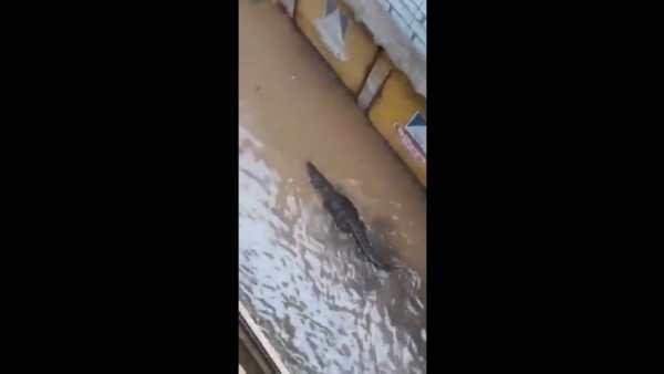 போக்குவரத்து நெரிசல் 