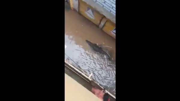 ரிங் ரோடு பகுதி 