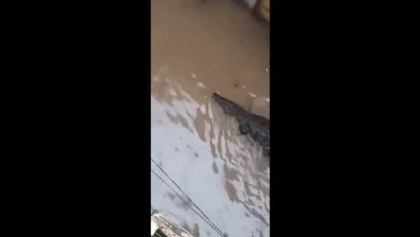  உண்மை என்ன? 