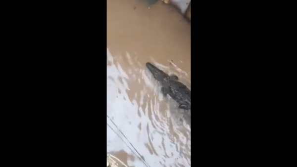 பெங்களூர் 