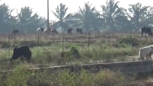 ரூ.94985 கட்டணம் 