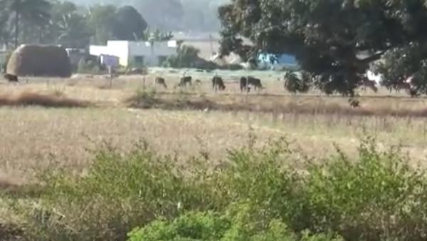 அதிகாரிகள் விளக்கம் 