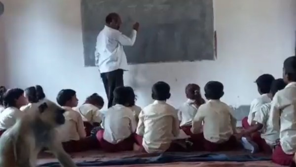 முதல் பெஞ்ச் மாணவர் போல்... 