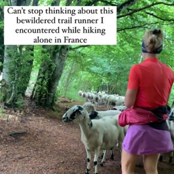 இயற்கை சூழலில்.. 