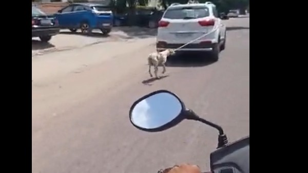 வழக்கு பதிவு வழக்கு பதிவு