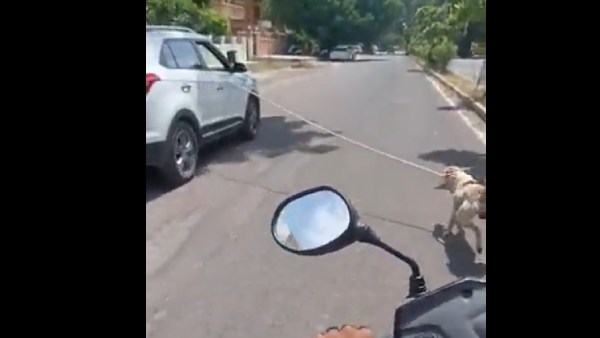 காரில் நாயை கட்டி.. காரில் நாயை கட்டி..