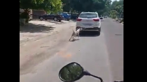 ராஜஸ்தான் மருத்துவர் ராஜஸ்தான் மருத்துவர்