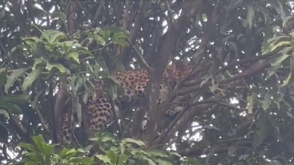  சாகசம் நிறைந்த துறை 