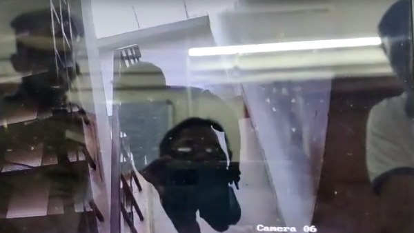 நடிகை பவுலின் நடிகை பவுலின்