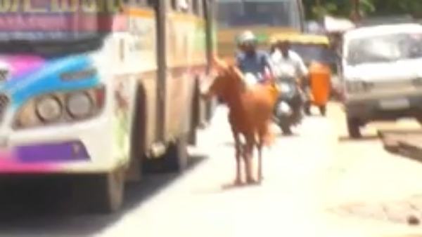 தாய் பாசம் தாய் பாசம்