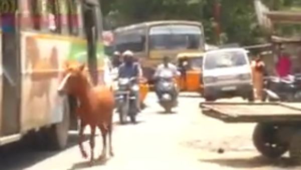 பேரூர் கோயில் பேரூர் கோயில்