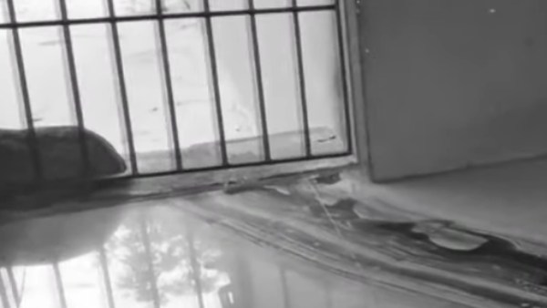 போலீஸில் புகார் போலீஸில் புகார்