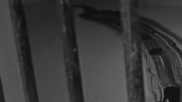 சரண் அடைந்தார் 