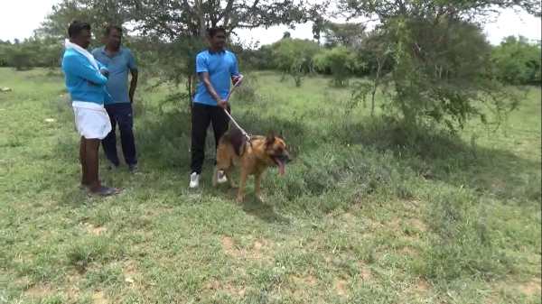 கொடூர கொலை கொடூர கொலை