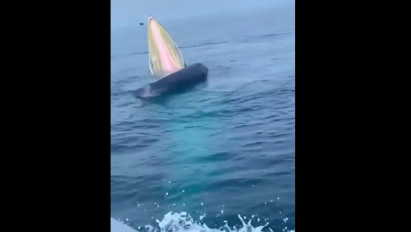 ஆபத்தான கடல்.. ஆபத்தான கடல்..