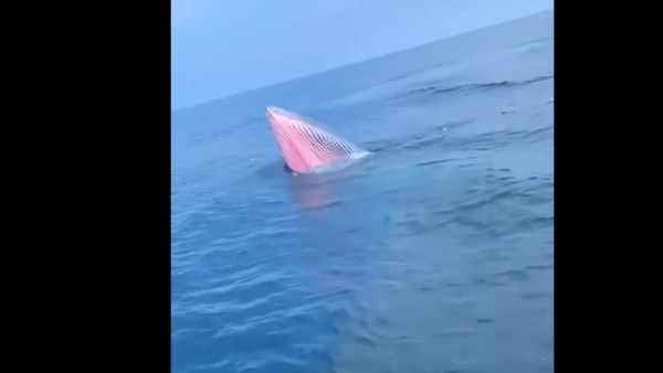 சுற்றுலா பயணிகளை ஈர்க்கும் அலாஸ்கா சுற்றுலா பயணிகளை ஈர்க்கும் அலாஸ்கா