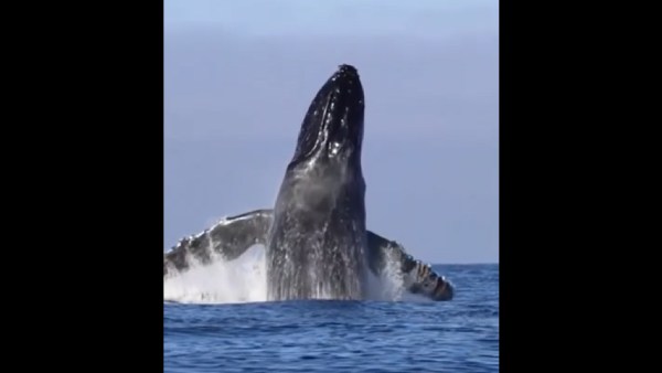 'சாகும் வரை மறக்க மாட்டோம்' 'சாகும் வரை மறக்க மாட்டோம்'