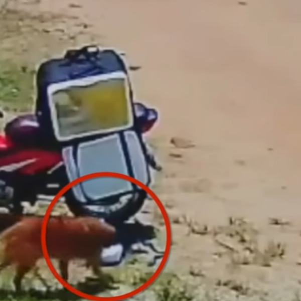 தினமும் அவமானம் 