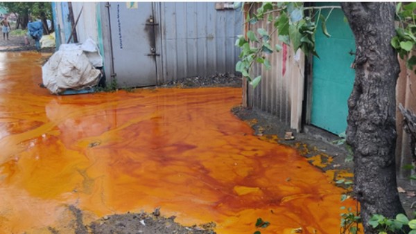 சமையல் எண்ணெய் 