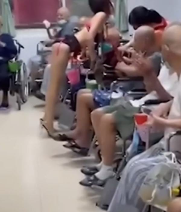 களைகட்டும் கொண்டாட்டங்கள் களைகட்டும் கொண்டாட்டங்கள்