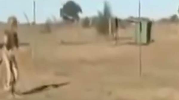 துரத்தி துரத்தி தாக்குதல்.. 