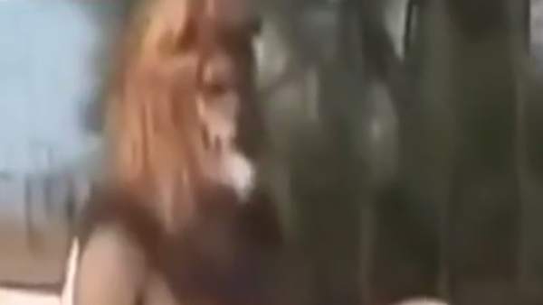 'சிங்கம் போல கெத்தாக..' 