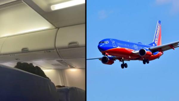 பாராட்டு