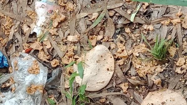 உணவை வீசி எறிந்த மாணவர்கள் உணவை வீசி எறிந்த மாணவர்கள்